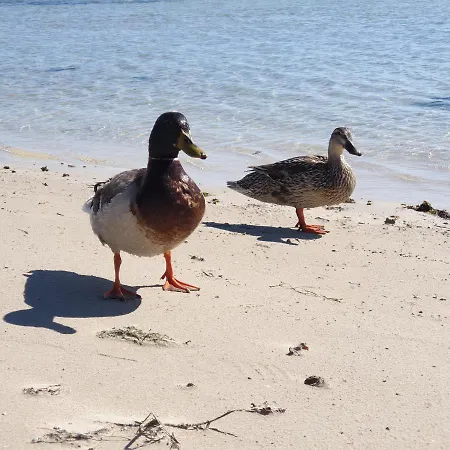 Del Mare Порто-Чезарео